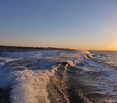 Séjour de reconnexion sur le Bassin d’Arcachon avec Respire Coaching pour éveiller l'ouie