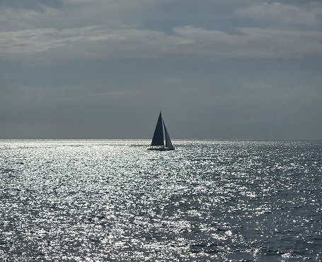 Séjour de reconnexion sur le Bassin d’Arcachon avec Respire Coaching pour éveiller la vue